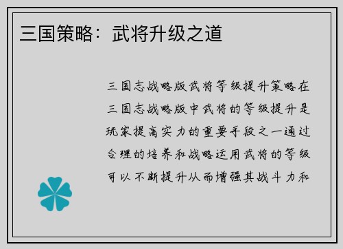 三国策略：武将升级之道
